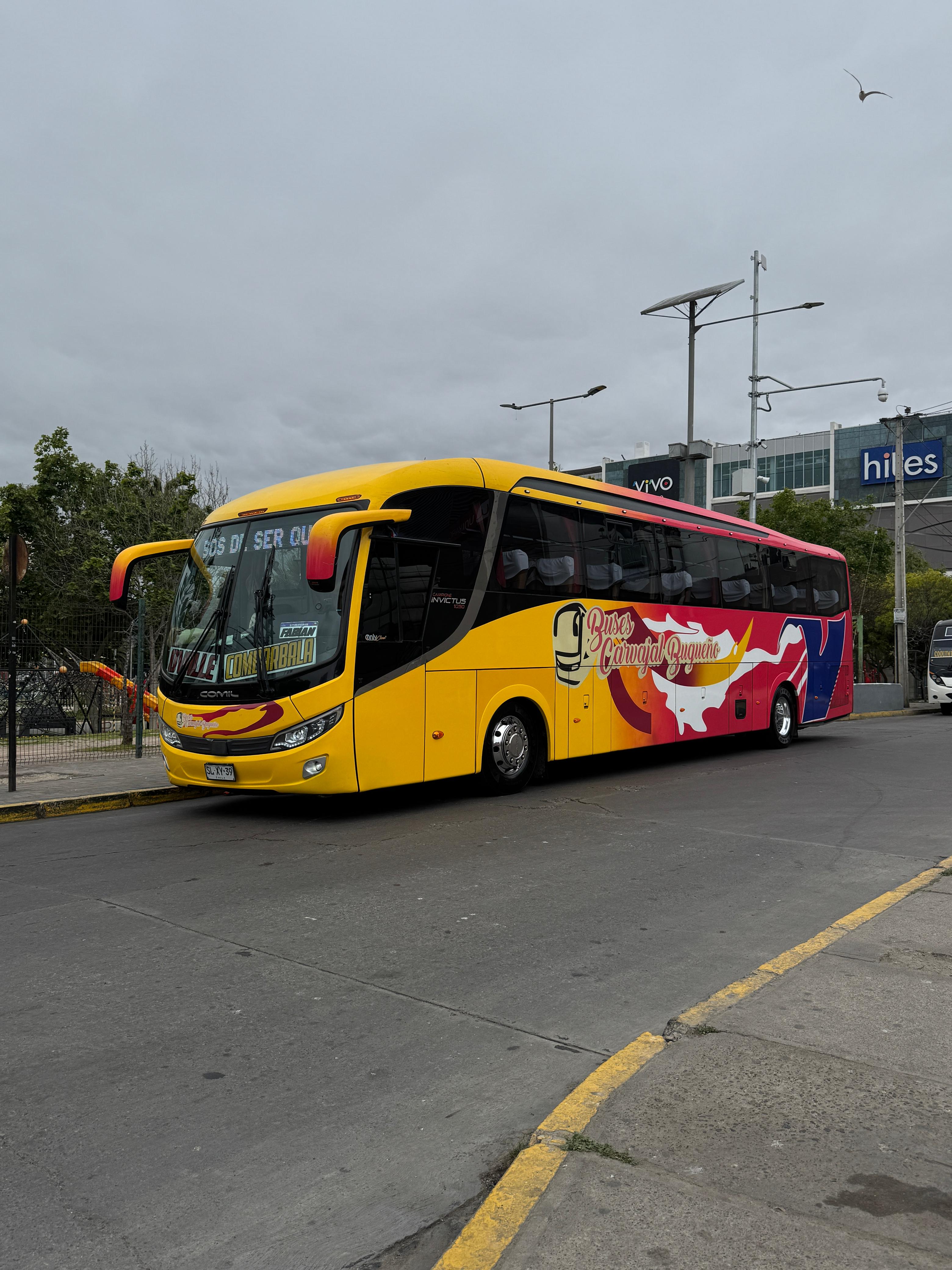 Nuestra flota de buses